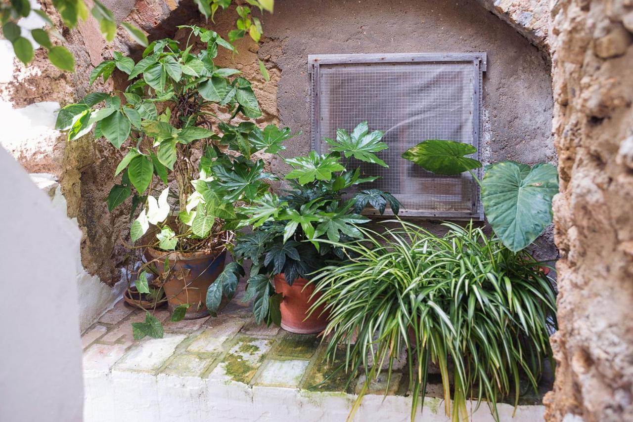 Villa Casa Luján Vejer de la Frontera Exterior foto